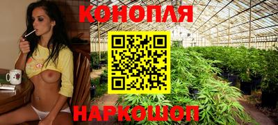 прущие крисы Абинск