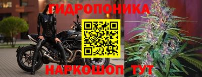 прущие крисы Абинск